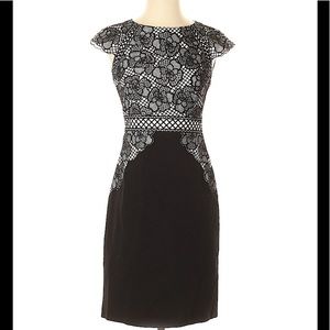 Gorgeous Antonio Melani